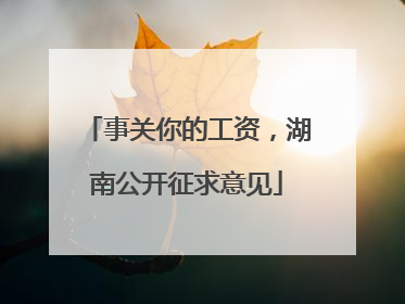事关你的工资，湖南公开征求意见