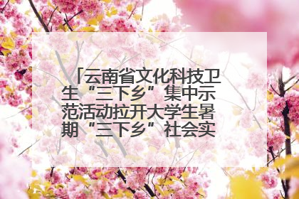 云南省文化科技卫生“三下乡”集中示范活动拉开大学生暑期“三下乡”社会实践活动序幕