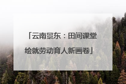 云南景东：田间课堂绘就劳动育人新画卷