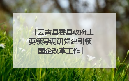 云霄县委县政府主要领导调研党建引领国企改革工作