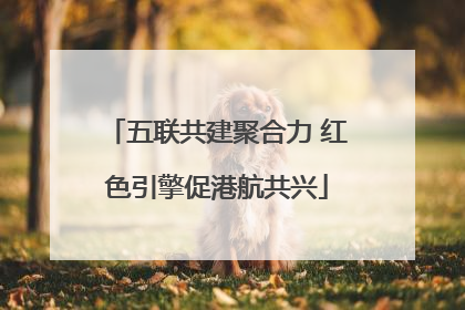五联共建聚合力 红色引擎促港航共兴