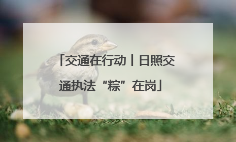 交通在行动丨日照交通执法“粽”在岗