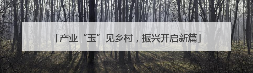 产业“玉”见乡村，振兴开启新篇