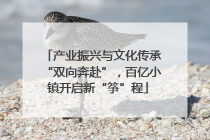 产业振兴与文化传承“双向奔赴”，百亿小镇开启新“筝”程