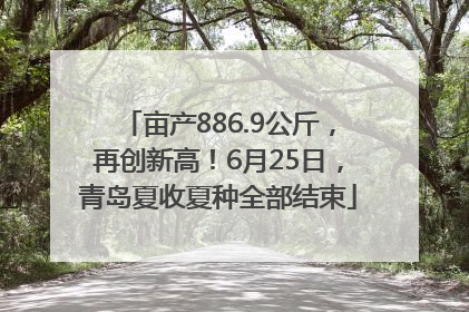亩产886.9公斤，再创新高！6月25日，青岛夏收夏种全部结束