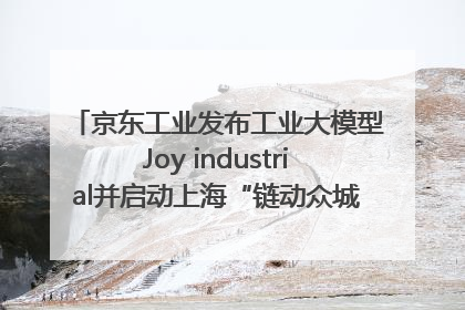 京东工业发布工业大模型Joy industrial并启动上海“链动众城 万亿降本”计划