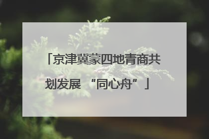 京津冀蒙四地青商共划发展 “同心舟”