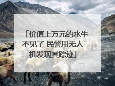 价值上万元的水牛不见了 民警用无人机发现其踪迹