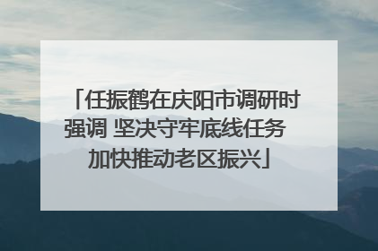 任振鹤在庆阳市调研时强调 坚决守牢底线任务 加快推动老区振兴