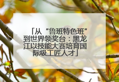 从“鲁班特色班”到世界领奖台：黑龙江以技能大赛培育国际级工匠人才