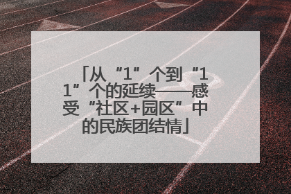 从“1”个到“11”个的延续——感受“社区+园区”中的民族团结情