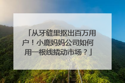 从牙缝里抠出百万用户！小鹿妈妈公司如何用一根线撬动市场？