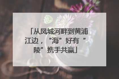 从凤城河畔到黄浦江边，“海”好有“陵”携手共赢