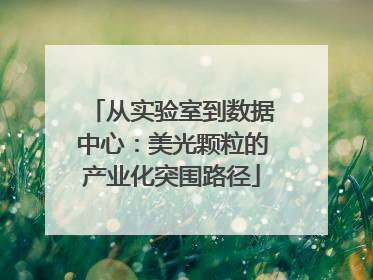 从实验室到数据中心：美光颗粒的产业化突围路径