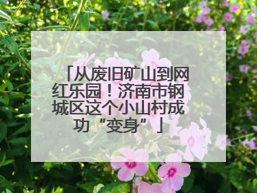 从废旧矿山到网红乐园！济南市钢城区这个小山村成功“变身”