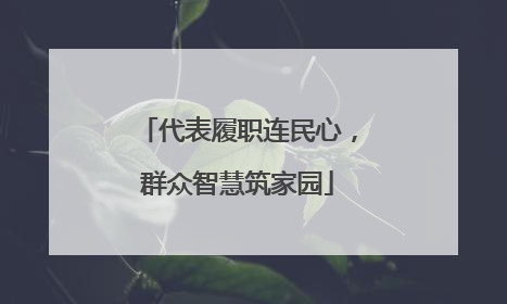 代表履职连民心，群众智慧筑家园