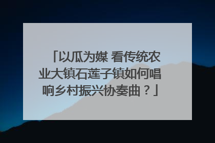 以瓜为媒 看传统农业大镇石莲子镇如何唱响乡村振兴协奏曲？