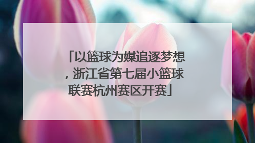 以篮球为媒追逐梦想，浙江省第七届小篮球联赛杭州赛区开赛