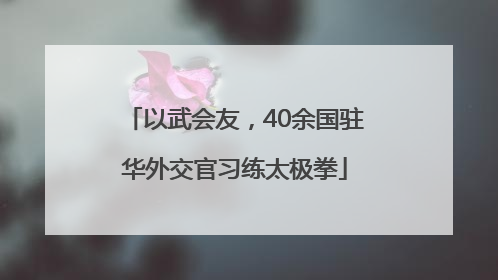 以武会友，40余国驻华外交官习练太极拳