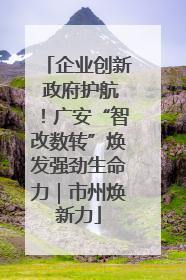 企业创新 政府护航！广安“智改数转”焕发强劲生命力｜市州焕新力