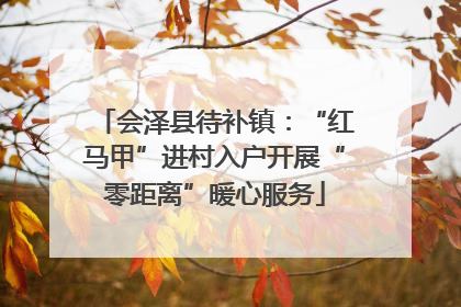 会泽县待补镇：“红马甲”进村入户开展“零距离”暖心服务