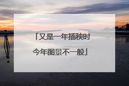 又是一年插秧时 今年图景不一般