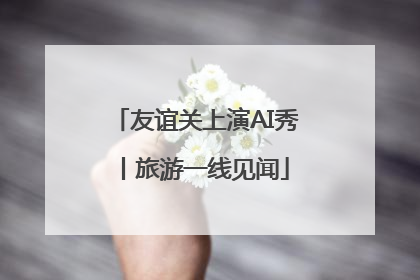 友谊关上演AI秀丨旅游一线见闻