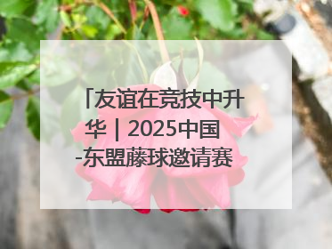 友谊在竞技中升华｜2025中国-东盟藤球邀请赛开赛 贵州惠水燃动“空中芭蕾”