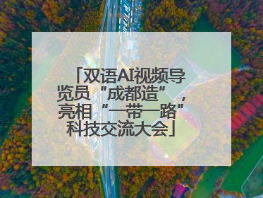 双语AI视频导览员“成都造”，亮相“一带一路”科技交流大会