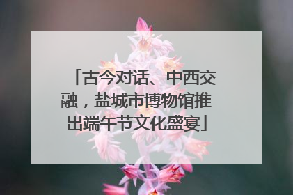 古今对话、中西交融，盐城市博物馆推出端午节文化盛宴