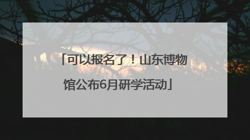 可以报名了！山东博物馆公布6月研学活动