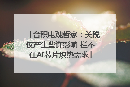 台积电魏哲家：关税仅产生些许影响 拦不住AI芯片炽热需求