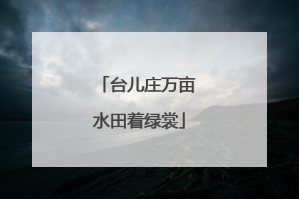 台儿庄万亩水田着绿裳