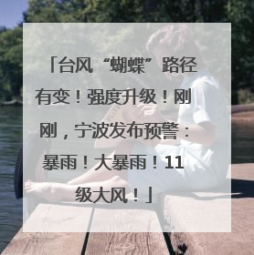 台风“蝴蝶”路径有变！强度升级！刚刚，宁波发布预警：暴雨！大暴雨！11级大风！