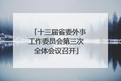 十三届省委外事工作委员会第三次全体会议召开