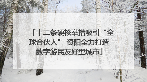 十二条硬核举措吸引“全球合伙人” 资阳全力打造数字游民友好型城市