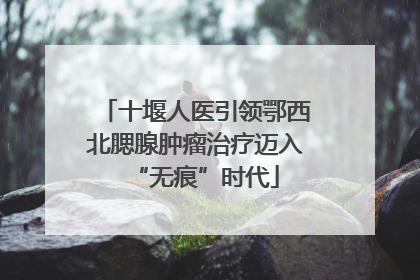 十堰人医引领鄂西北腮腺肿瘤治疗迈入“无痕”时代