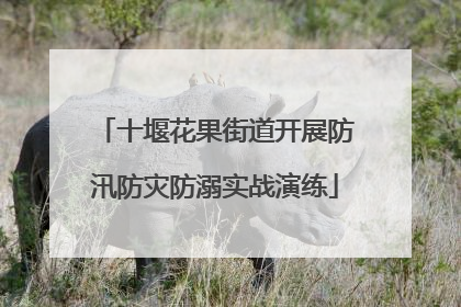 十堰花果街道开展防汛防灾防溺实战演练