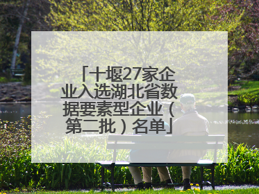 十堰27家企业入选湖北省数据要素型企业（第二批）名单