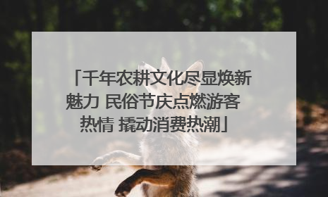 千年农耕文化尽显焕新魅力 民俗节庆点燃游客热情 撬动消费热潮