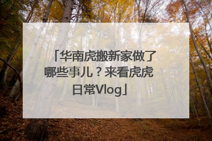 华南虎搬新家做了哪些事儿？来看虎虎日常Vlog