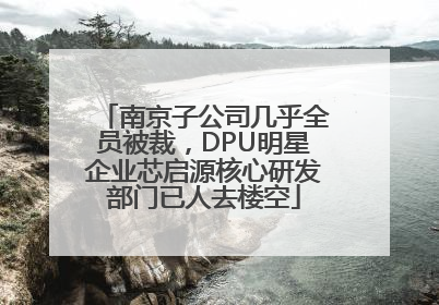 南京子公司几乎全员被裁，DPU明星企业芯启源核心研发部门已人去楼空