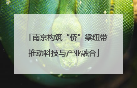 南京构筑“侨”梁纽带推动科技与产业融合