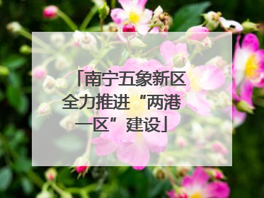 南宁五象新区全力推进“两港一区”建设