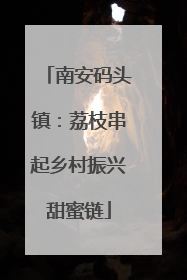 南安码头镇：荔枝串起乡村振兴甜蜜链