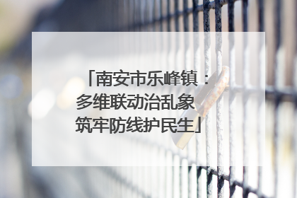 南安市乐峰镇：多维联动治乱象 筑牢防线护民生