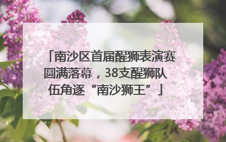 南沙区首届醒狮表演赛圆满落幕，38支醒狮队伍角逐“南沙狮王”