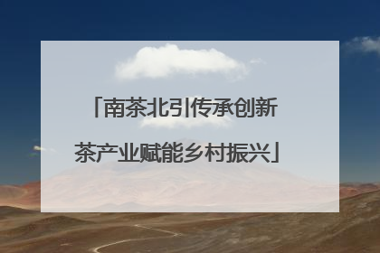 南茶北引传承创新 茶产业赋能乡村振兴