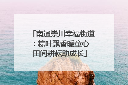 南通崇川幸福街道：粽叶飘香暖童心 田间耕耘助成长