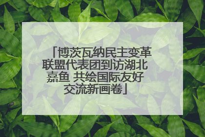 博茨瓦纳民主变革联盟代表团到访湖北嘉鱼 共绘国际友好交流新画卷